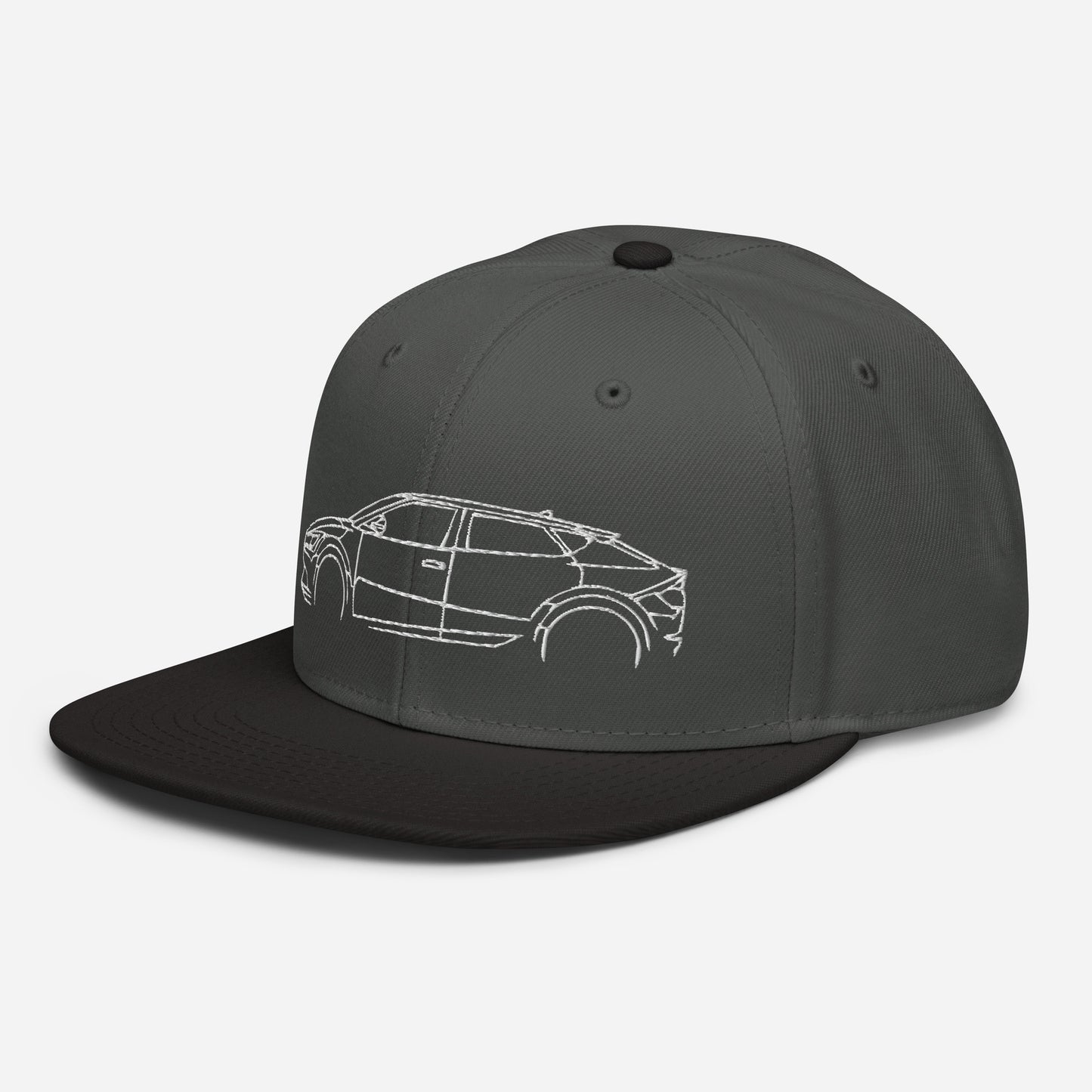 EV6 Body Hat